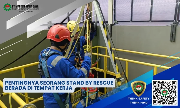 Stand By Rescue